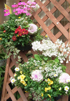 ����������i