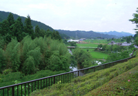 ���̉w���Ƃ݂̕��i