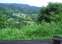 ���v���e���X�Ȃ���̕��i