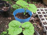 �Y�b�L�[�j