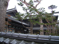 ���~�O���猚�����B�e