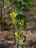 �L���O�T��2800�~