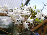 �Z�b�R�N2000�~