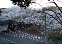 ���܂�p�X�e�[�W�B